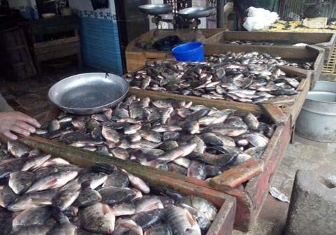 حملة مقاطعة الأسماك في بورسعيد: حملتنا نجحت في