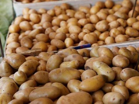 تراجع أسعار البطاطس والبصل وزيادة الليمون