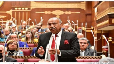 برلماني: المصريون سيضربون المثل في الوعي