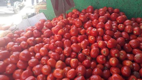 ارتفاع أسعار الطماطم والبصل وانخفاض الفلفل