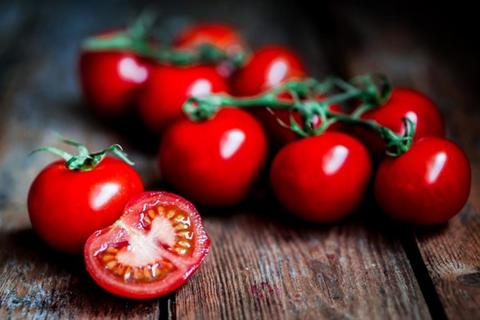 انخفاض أسعار الطماطم والفاصوليا وزيادة الكوسة