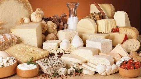 ارتفاع كبير في أسعار الجبن ومنتجات الألبان مع