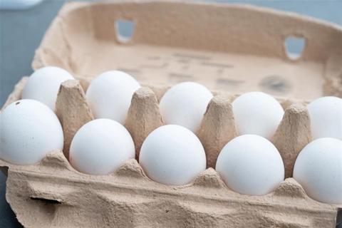 ارتفاع أسعار البيض البلدي اليوم الثلاثاء في
