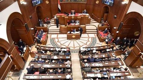 برلماني: قرار مجلس الأمن انتصار لجهود مصر