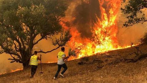 اندلاع حرائق الغابات في عدن مدن جزائرية وسط