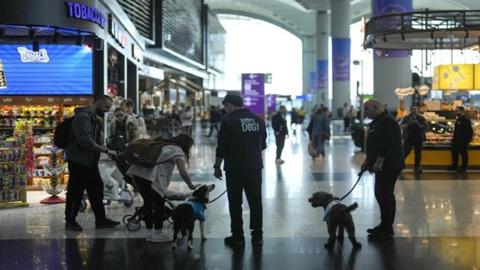 مشروع تجريبي جديد في مطار إسطنبول.. 5 كلاب